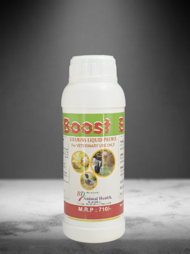 Boost E