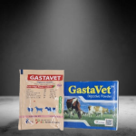 Gastavet