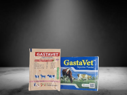Gastavet