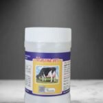 Mastha Vet